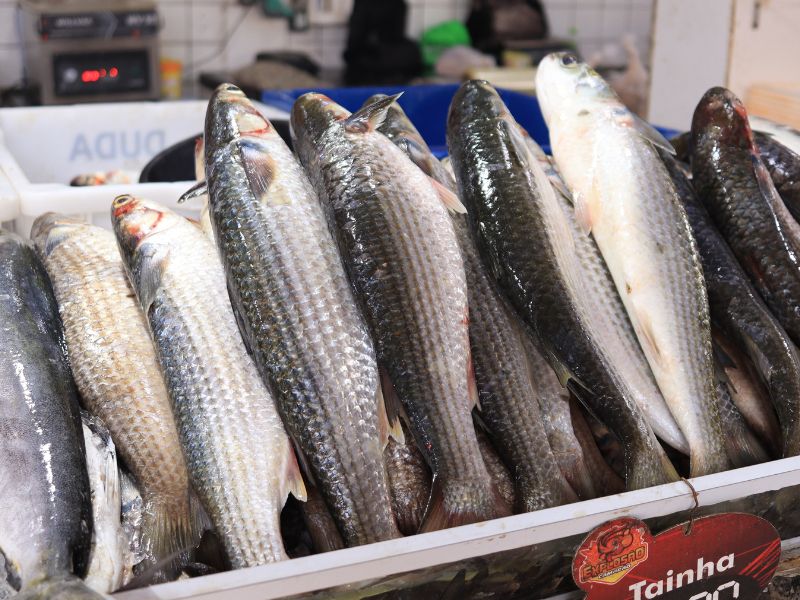 Prefeitura anuncia horário estendido do Mercado do Peixe de São Pedro da Aldeia na Semana Santa