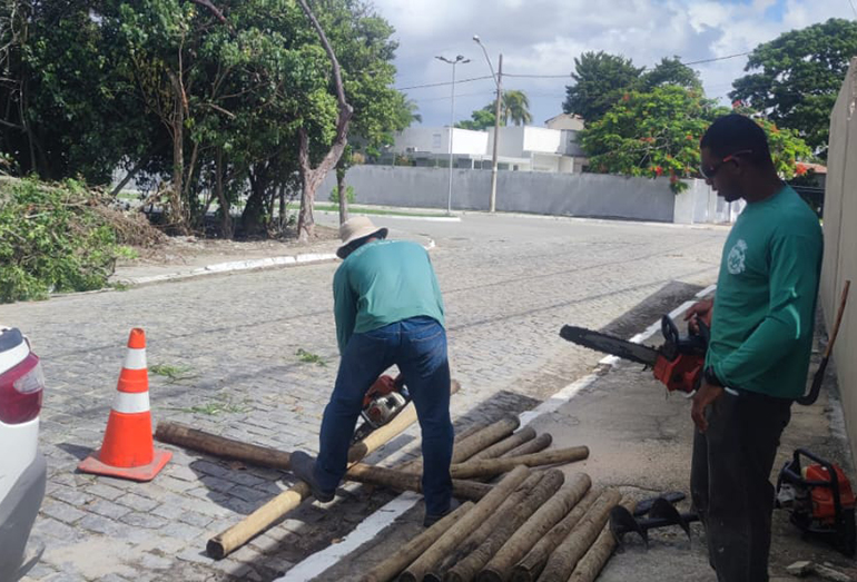 Cabo Frio inicia preservação no Portinho para proteger ecossistema de mangue