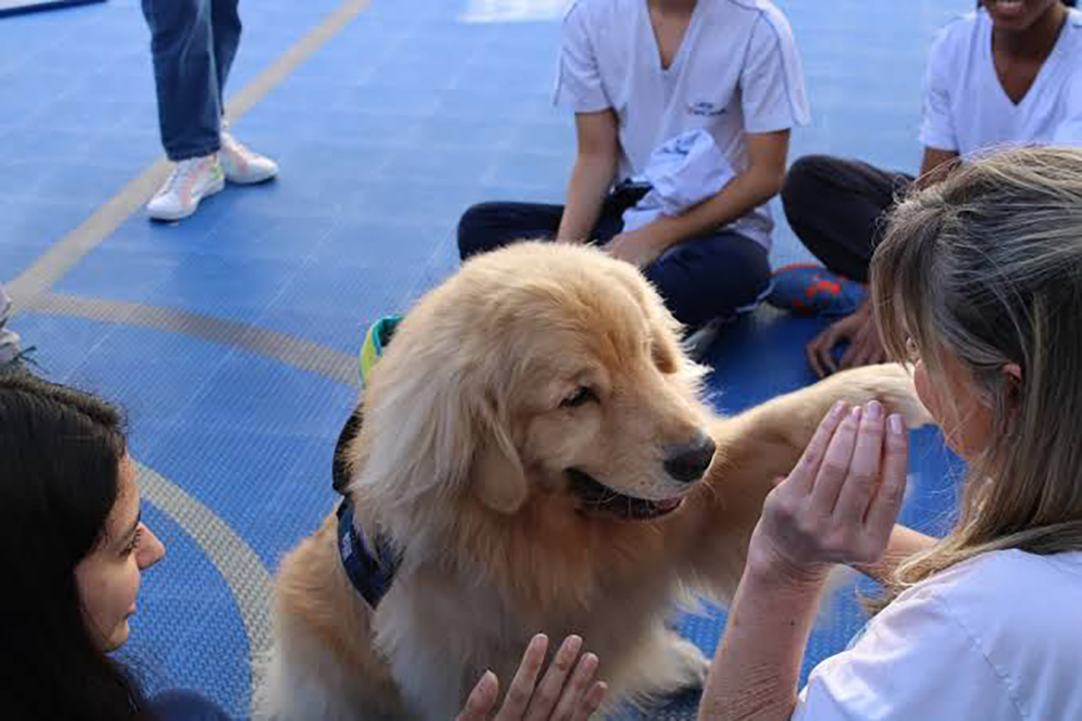 Agentes de Arraial integram formação inédita da UERJ com foco em assistência social com cães