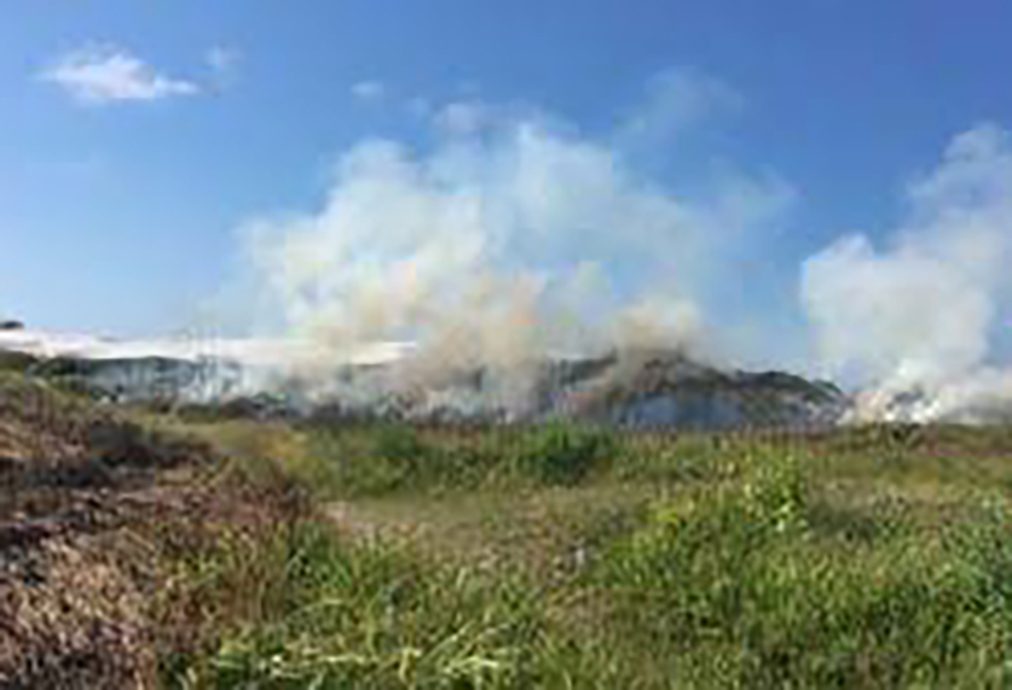 Cabo Frio entra em alerta máximo para focos de incêndio em áreas verdes