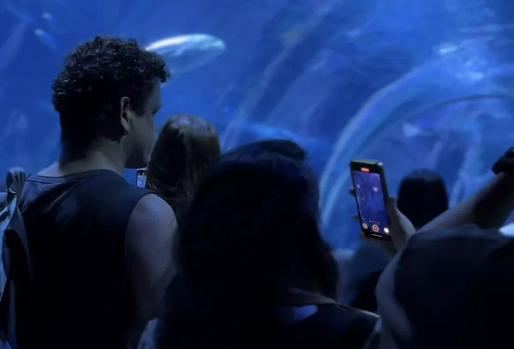 Alunos de Cabo Frio visitam AquaRio por meio de iniciativa estadual e municipal