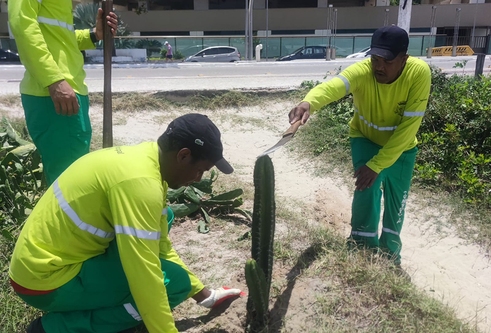 Prefeitura de Cabo Frio reforça sinalização e proteção ambiental em praias e manguezais