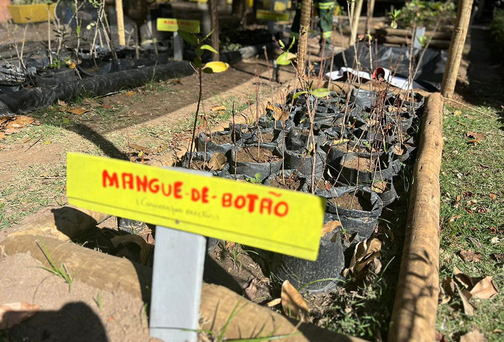 Horto Municipal Cabo Frio ganha viveiro e abre orquidário para visitação