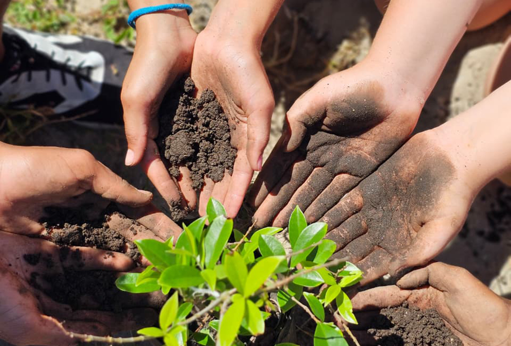 Ação ambiental de Arraial une servidores e jovens da Guarda Mirim em mutirão ecológico