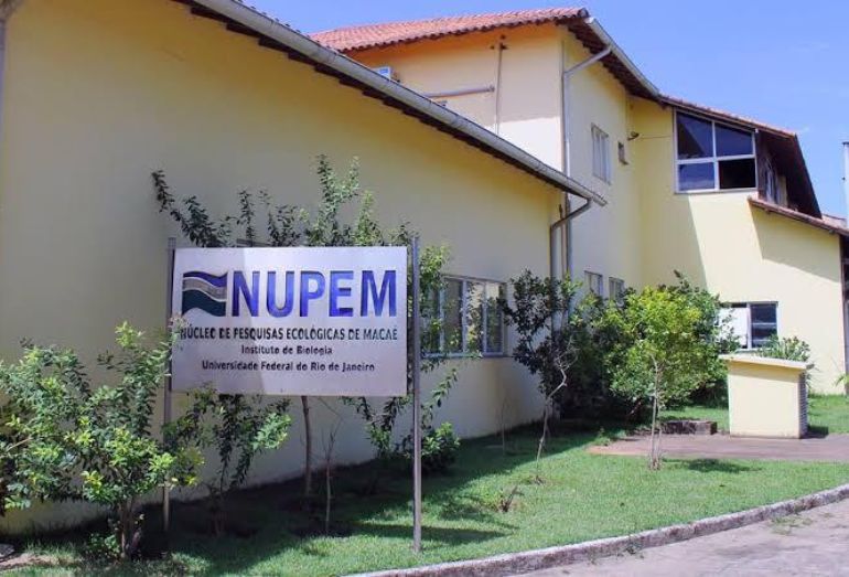 Mesa-redonda no NUPEM/UFRJ aborda controle de vetores e soluções para problemas ambientais em Macaé