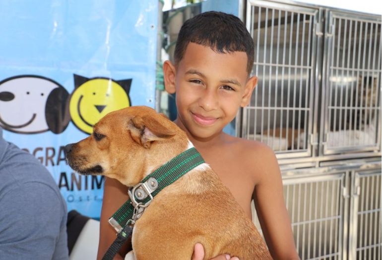 Rio das Ostras promove Feira de Adoção de Animais no dia 29