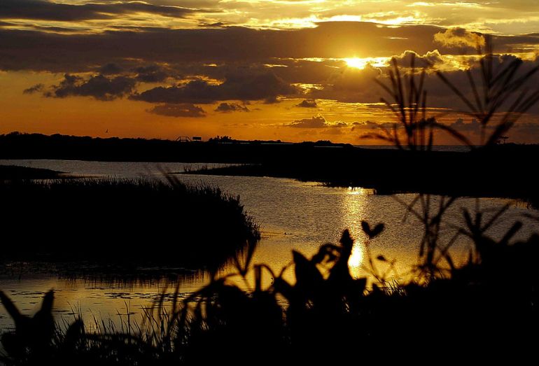 Parque Nacional da Restinga de Jurubatiba conquista lugar entre os mais visitados do país