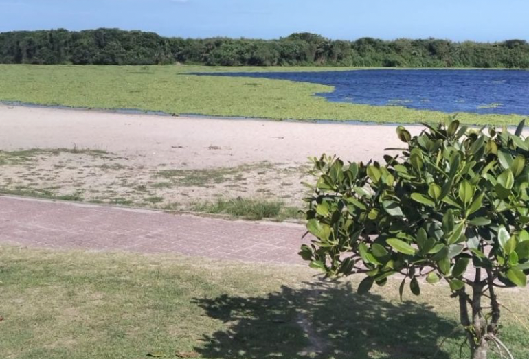 Ação da prefeitura impede abertura irregular da Lagoa de Iriry, em Rio das Ostras
