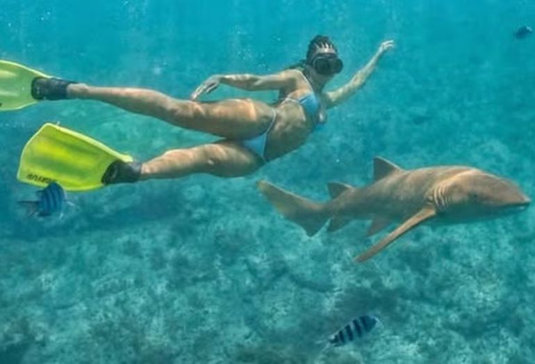 Brunna Gonçalves mergulha com tubarões em Fernando de Noronha