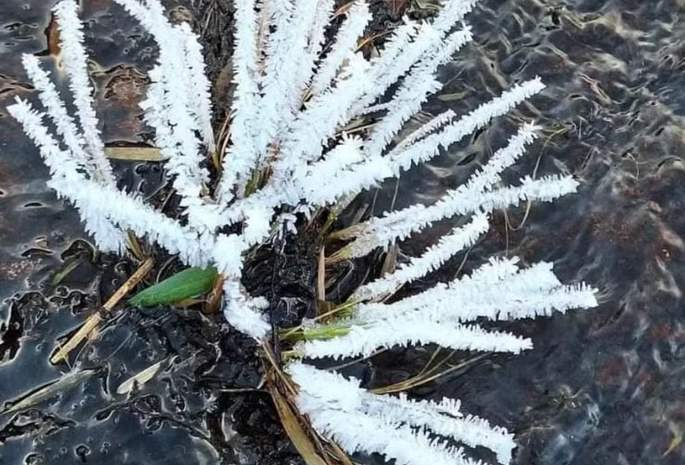 Com -9,7ºC, Parque Nacional do Itatiaia amanhece com vegetação 'pintada de branco' e poça congelada